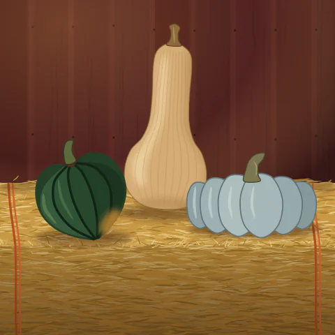 A dark green acorn squash, a butternut and a pale blue squash on a hay bale