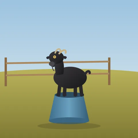 A small black goat standing on an overturned bucket in a paddock