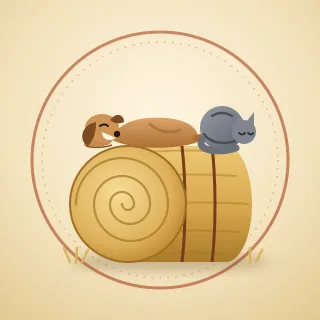 A dog and a cat asleep on top of a round hay bale, inside a ring