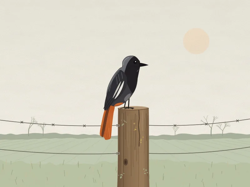 An illustration of a small dark bird on a wooden fence post