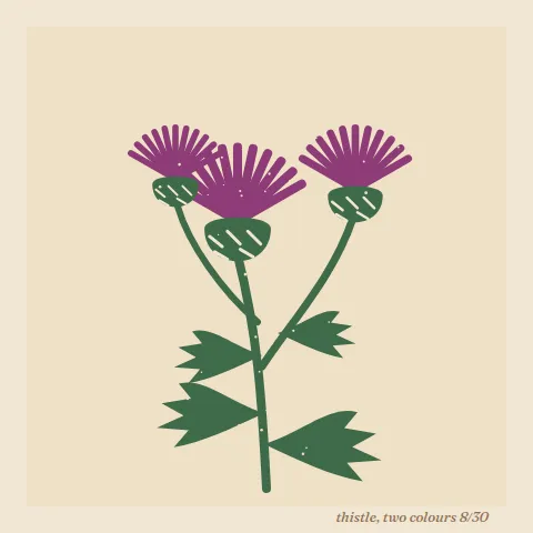 A linocut of three purple thistle heads on green stems